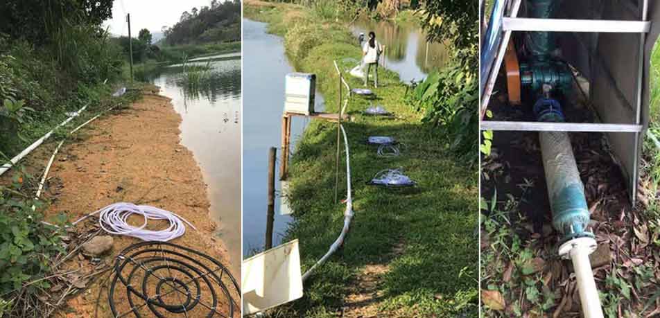 微孔曝氣羅茨風(fēng)機(jī)電流大的原因