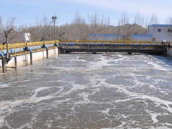 污水處理曝氣羅茨風(fēng)機